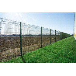 Panel Strend Pro EUROSTANDARD 3D, 2500x2030/200x50/4,00 mm, zelený, plotový, RAL6005