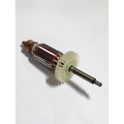 Rotor DS07-225, diel 31